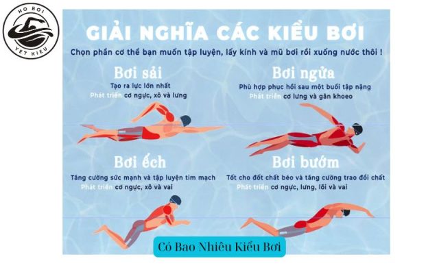 Có Bao Nhiêu Kiểu Bơi