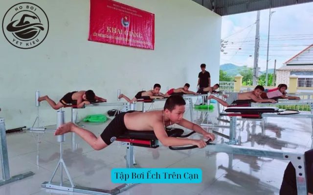 Tập Bơi Ếch Trên Cạn